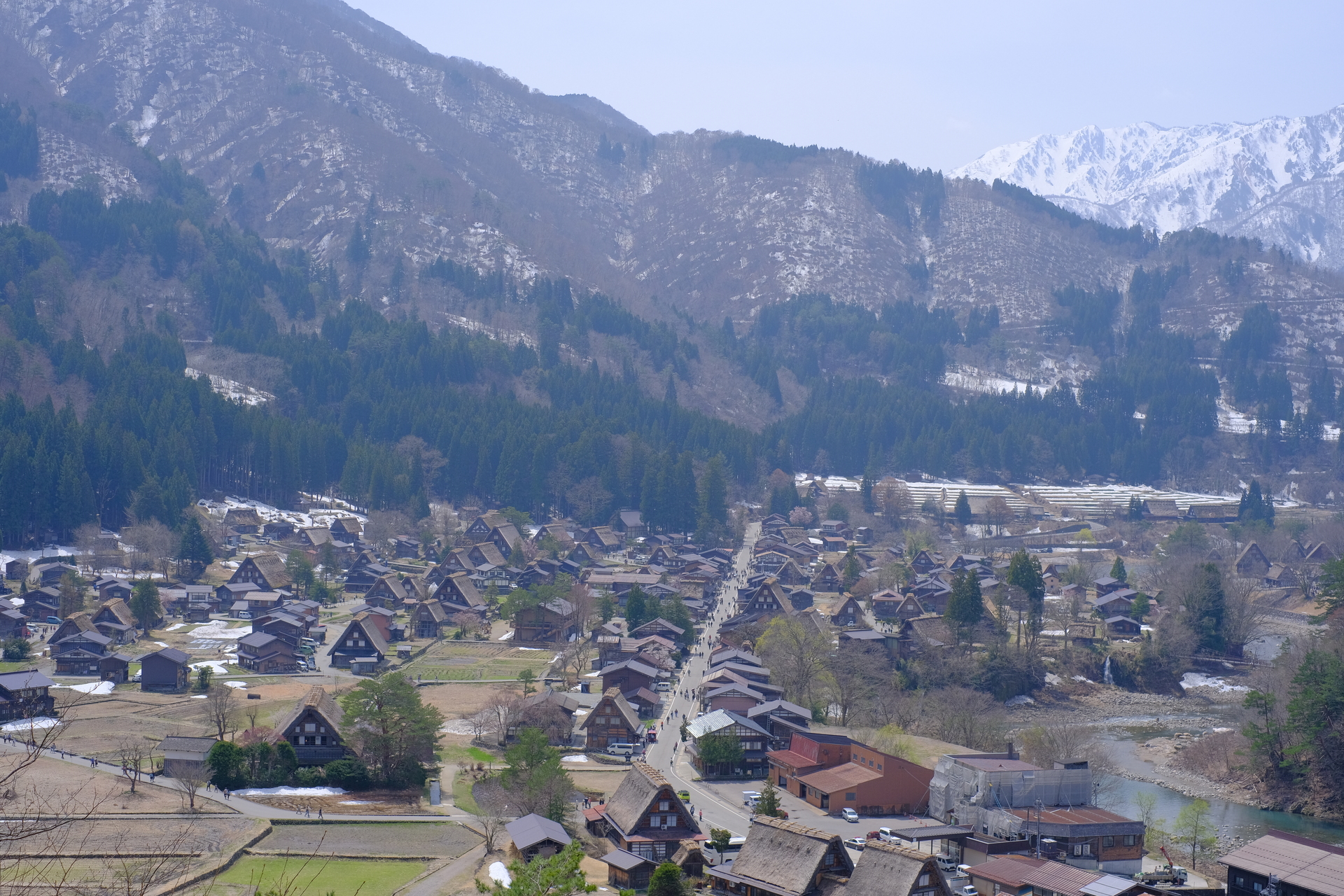 DSCF6131.jpg